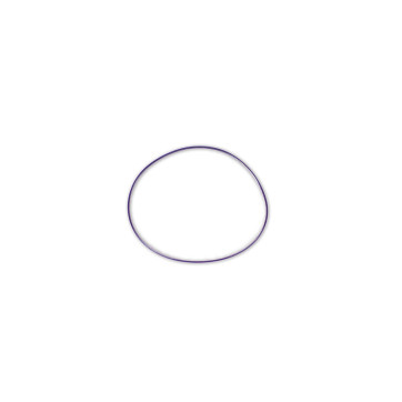 Y-Pipe O-Ring