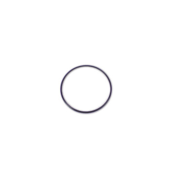 Sealing Ring for hose swivel
